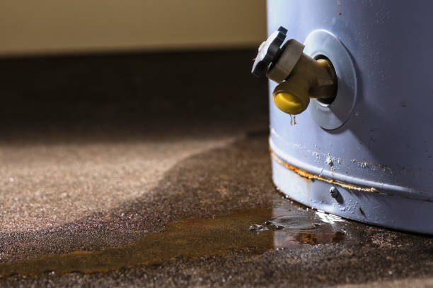 Best Basement water damage restoration  in Edna, TX