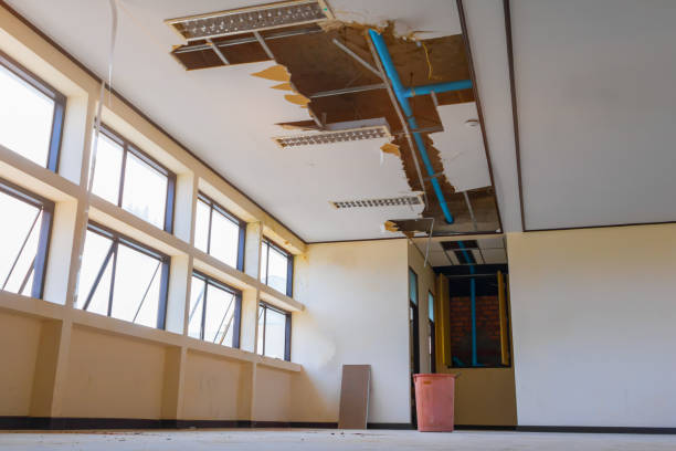Best Flood damage cleanup  in Edna, TX
