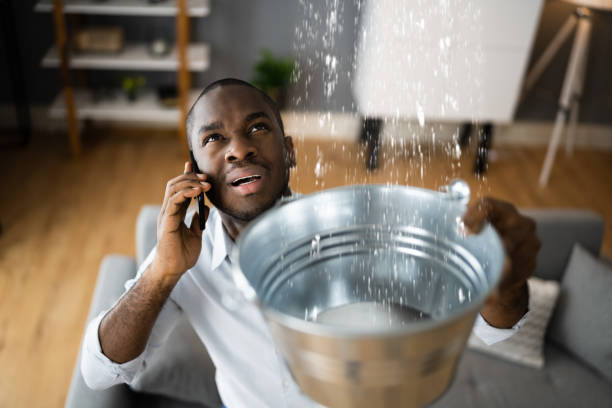 Best Sewage cleanup and water damage restoration  in Edna, TX
