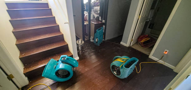 Best Flooded house restoration  in Edna, TX