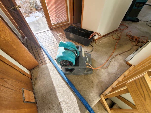 Best Mold removal after water damage  in Edna, TX