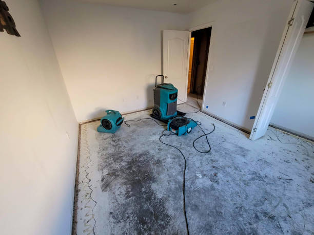 Best Water damage restoration near me  in Edna, TX