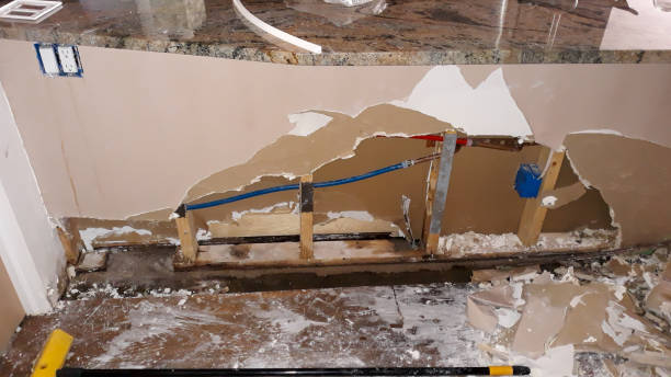 Best Flooded house restoration  in Edna, TX