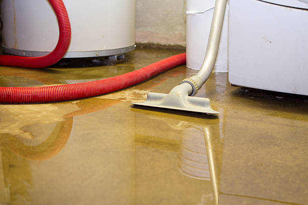Best Ceiling water damage repair  in Edna, TX