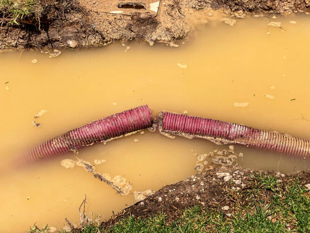 Best Water damage restoration cost  in Edna, TX