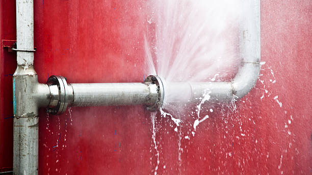 Best Local water damage restoration  in Edna, TX
